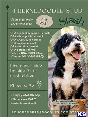 sonoranstandard Picture 3